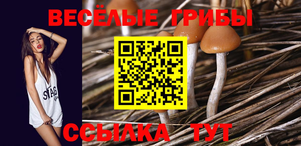 Галлюциногенные грибы мухоморы Родники